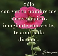 /album/fotogaleria/solo-con-ver-jpg/